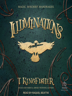 cover image of Illuminations